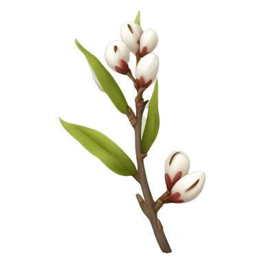 Pussywillow sticker