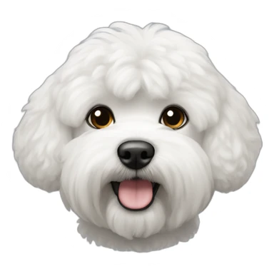 bichon-havanais-black-half-white-head sticker