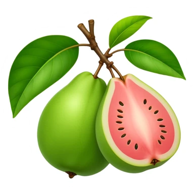 A green guava with a leaf attached sticker