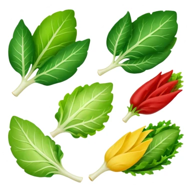 different salad leaves different colors  sticker