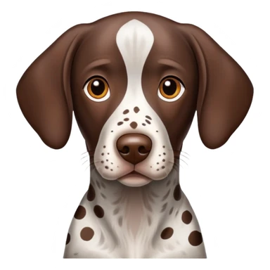 German short haired pointer dog with brown spots sticker