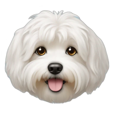 Bichon Havanese dog head sticker