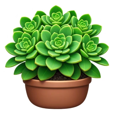 Cinematic Realistic Crassula Emoji, Compact and vibrant, with small, fleshy leaves arranged in thick, rounded clusters. The deep green hue of the leaves radiates calm, while their structured growth speaks of endurance. Soft glowing outline, capturing the essence of perseverance and tranquility in a crassula plant! sticker