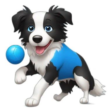 Border collie playing football with blue ball sticker
