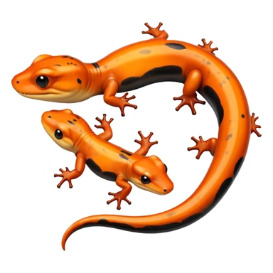 Salamander sticker