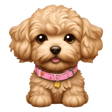 Coffee colored maltipoo puppy with maple on pink dog collar sticker