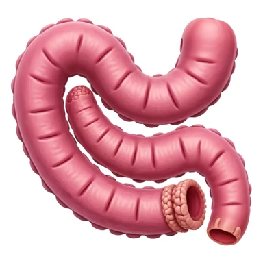 large intestine sticker