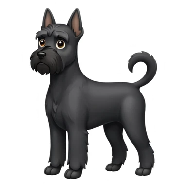 Black schnauzer with cropped ears sticker