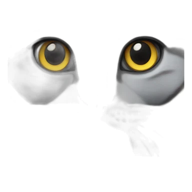 grey british shorthair cat sticker