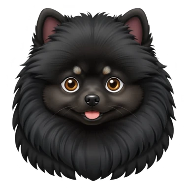 Black Pomeranian Spitz sticker