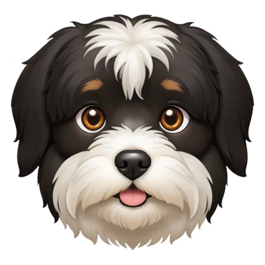 all-black Havanese dog face with brown eyes sticker