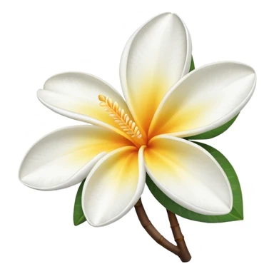 frangipani flower white sticker
