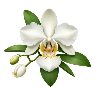 orchid with white flowers sticker