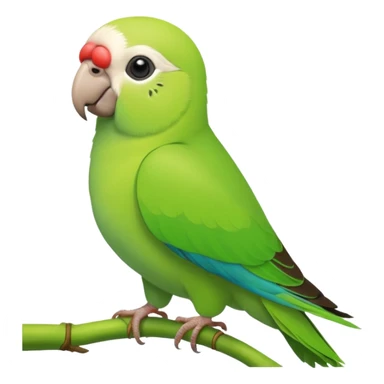 Green Monk parakeet sticker