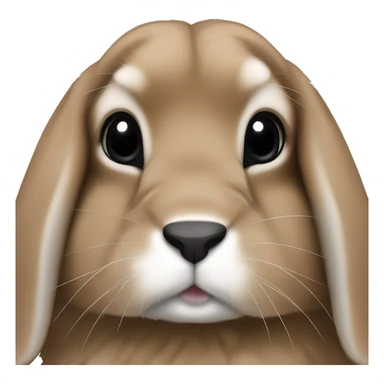 brown holland lop bunny with black nose and snout  sticker