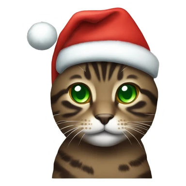 Dark brown tabby cat with green eyes wearing Christmas hat sticker