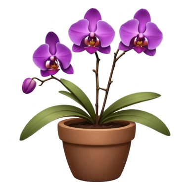 Purple Orchid in a clay pot sticker