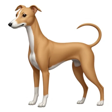 Greyhound sticker