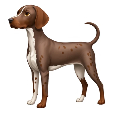 orange spotted german short haired pointer small tail sticker