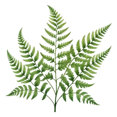 A close-up of a fern plant with intricate leaves, painted in soft watercolor greens with a subtle textured background.
 sticker