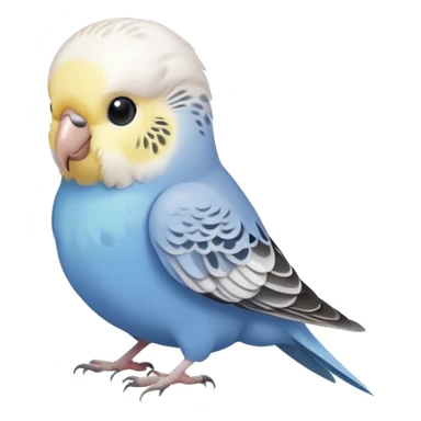 budgie, light grey feathers with a white head sticker
