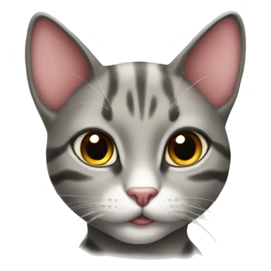 Coquette cat sticker