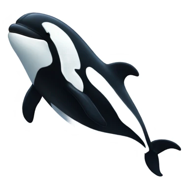 Killer Whale wearing a beanie sticker
