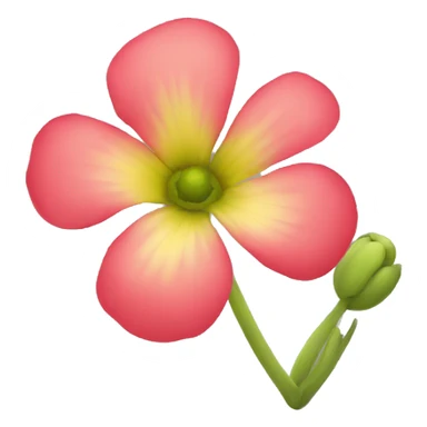 Yemen Flower sticker