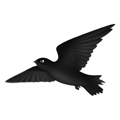 common swift shadow, black and white. sticker