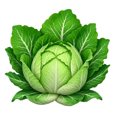 chinese cabbage sticker