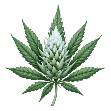 white color marijuana sticker