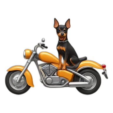 caramel-color-pinscher-dog-driving-a-motorcycle sticker