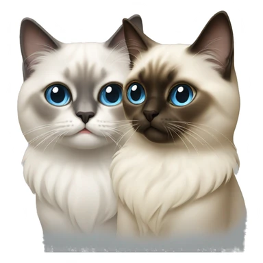 Two sacred birman cats sticker