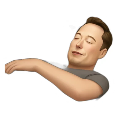 Sleeping-elon-musk sticker