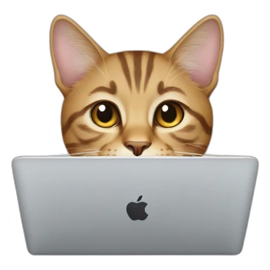 cat with mac book sticker