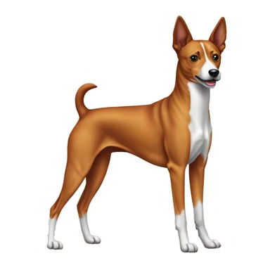 Dog basenji sticker