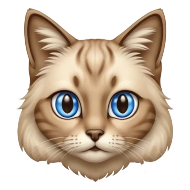 Tabby cat long hair in Siamese colors sticker