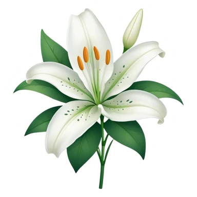 single Snow White Lily, straight stem sticker