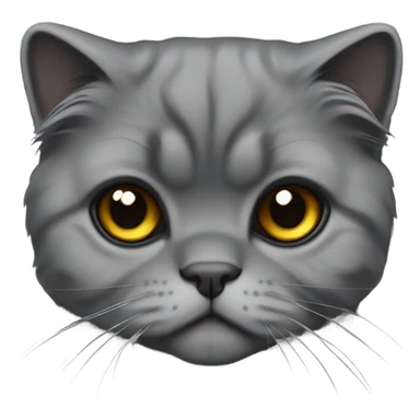 All dark grey Scottish fold cat long hair fold ear sticker