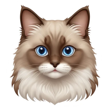 cinematic-fluffy-brown-ragdoll-cat-portrait-emoji,-head-tilted-cutely-with-big,-sparkling-blue-eyes,-soft-brown-and white-colored-fur-with-darker-points-on-the-ears,-face,-and-paws,-simplified-yet-irresistibly-adorable-features, sticker