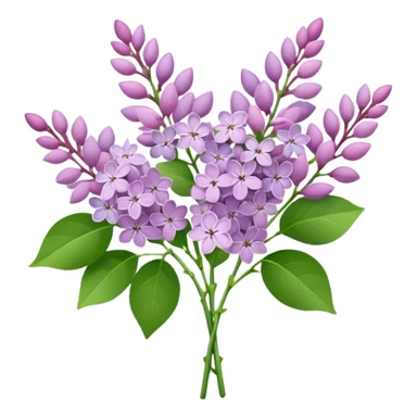Pale Pink bouquet of lilac flowers sticker