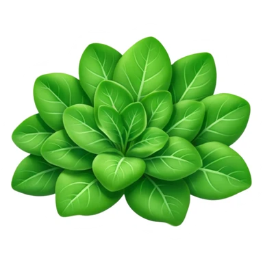 lamb's lettuce  sticker