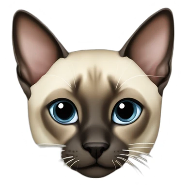 Seal point Siamese sticker