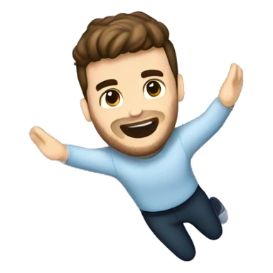 Liam Payne flying sticker