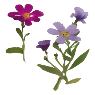 book with some pressed flowers on the pages  sticker