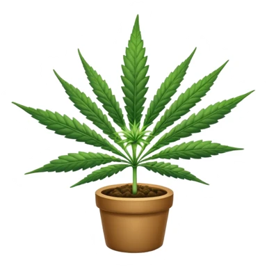 Cannabis sticker