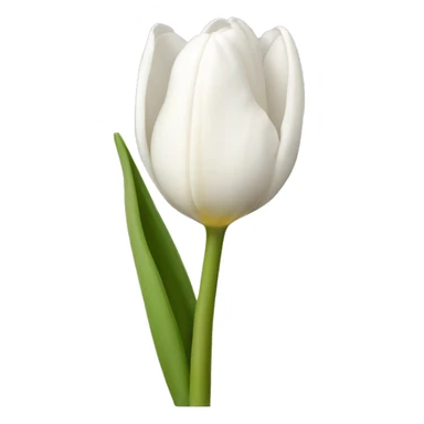 White tulipan sticker