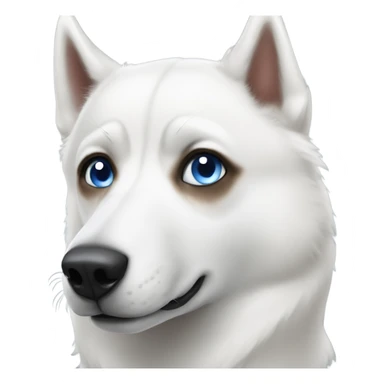 White husky with one blue eye one brown eye sticker