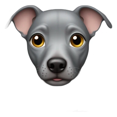 gray Peruvian hairless dog sticker