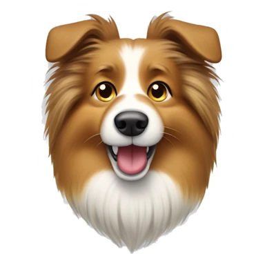 Shetland sheepdog with slippers in mouth sticker